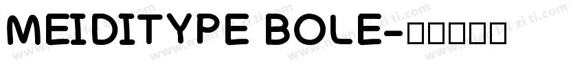 MEIDITYPE BOLE字体转换